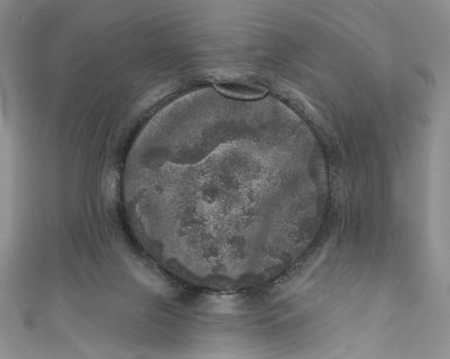 X0000110880071200907021505
