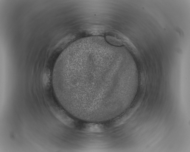 X0000110880073200907021506