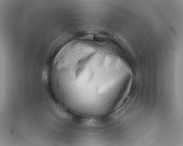 X0000110880074200907021506
