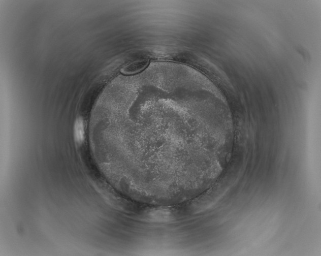 X0000110880075200907021506