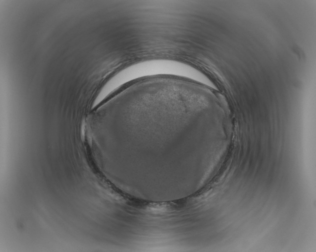 X0000110880076200907021506