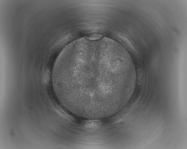 X0000110880077200907021506
