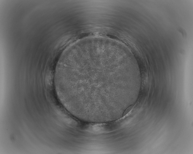 X0000110880078200907021506