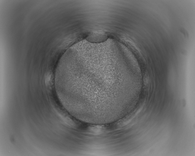 X0000110880079200907021506