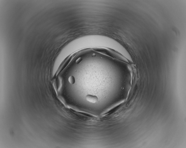 X0000110880080200907021506