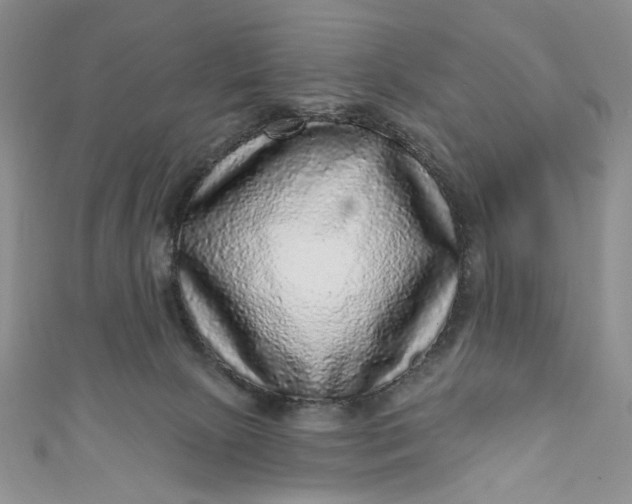 X0000110880081200907021506