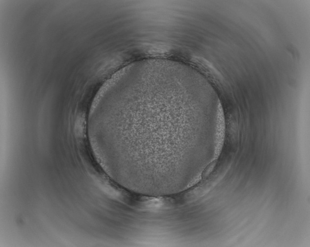 X0000110880083200907021506