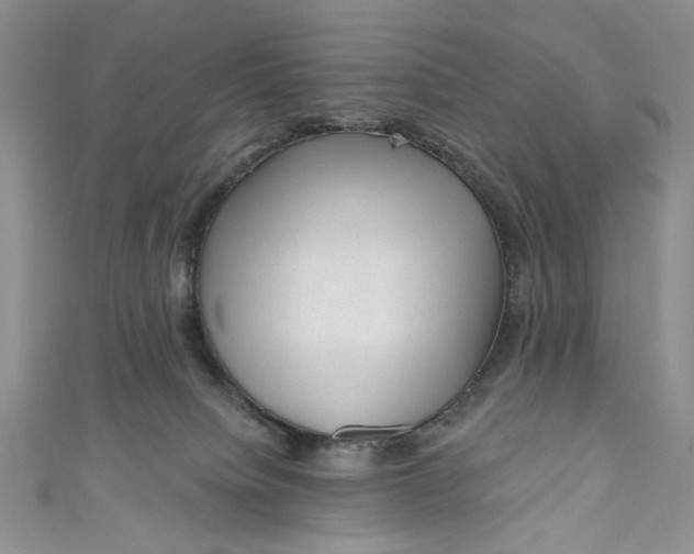 X0000110880084200907021506