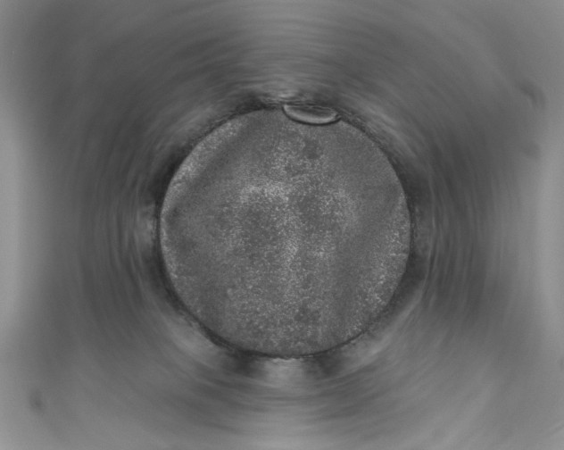 X0000110880085200907021506