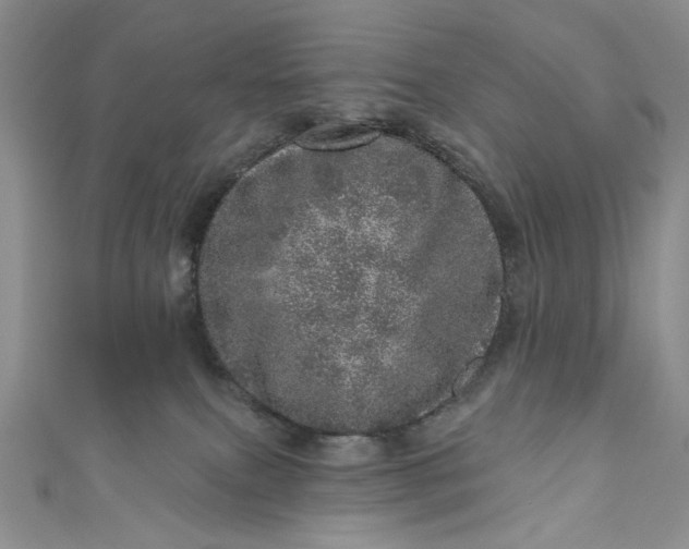 X0000110880087200907021506