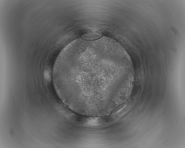 X0000110880090200907021506
