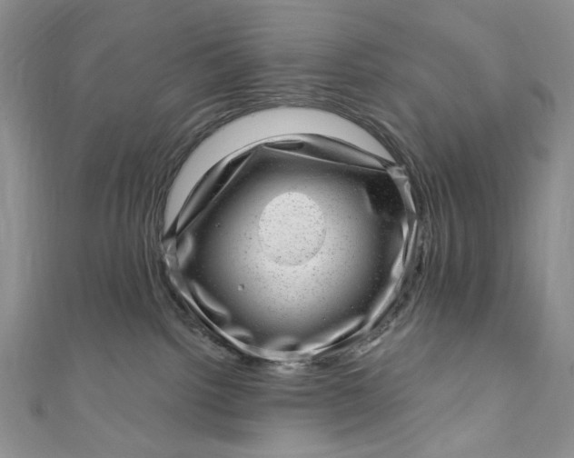 X0000110880092200907021506