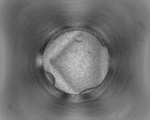 X0000110880095200907021506
