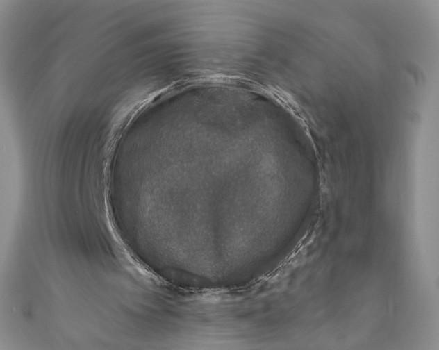 X0000110880097200907021505