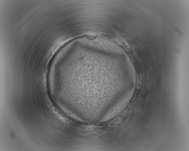 X0000110880098200907021505