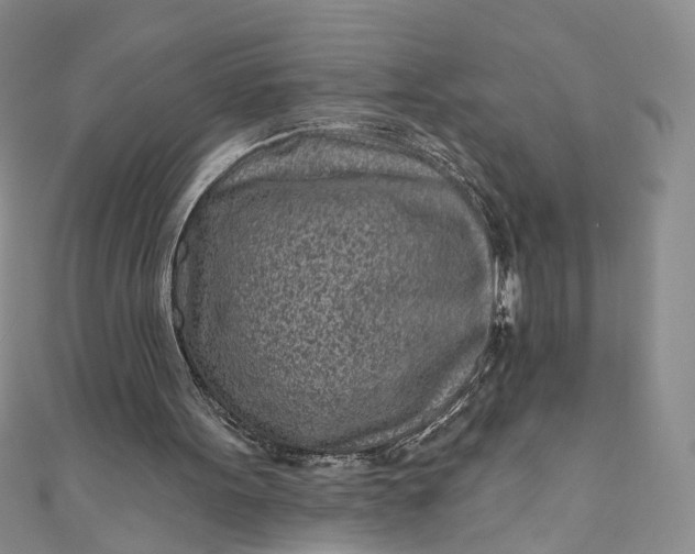 X0000110880099200907021505