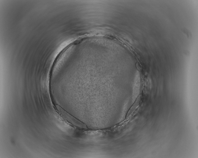 X0000110880100200907021505