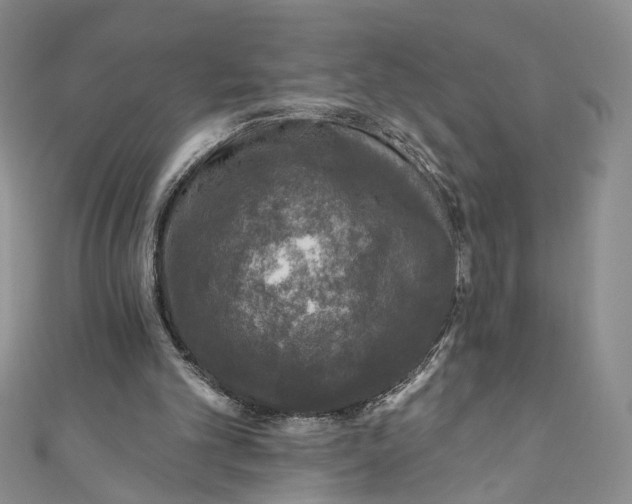 X0000110880101200907021505