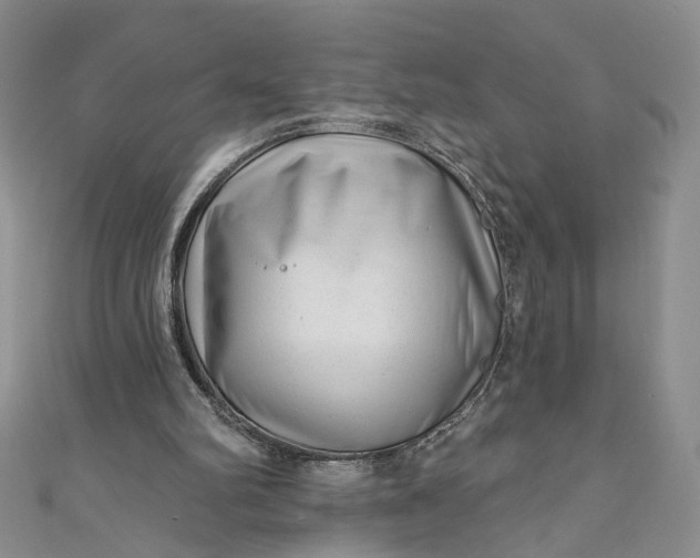 X0000110880102200907021505