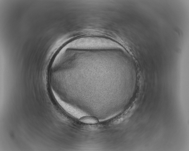 X0000110880103200907021505