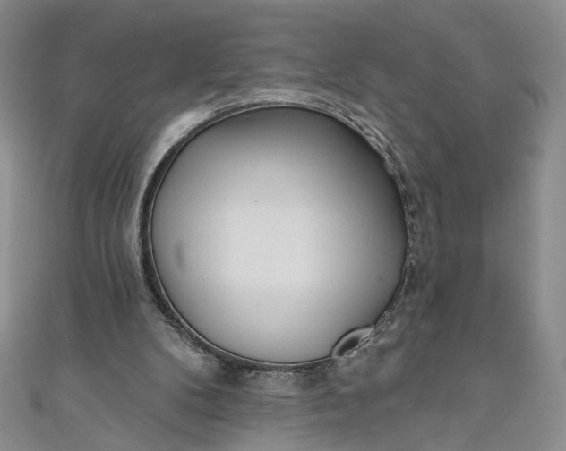 X0000110880104200907021505