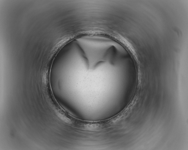 X0000110880105200907021505