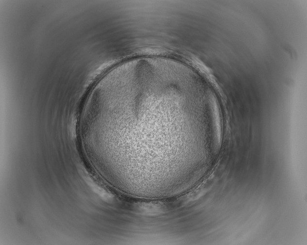 X0000110880106200907021505