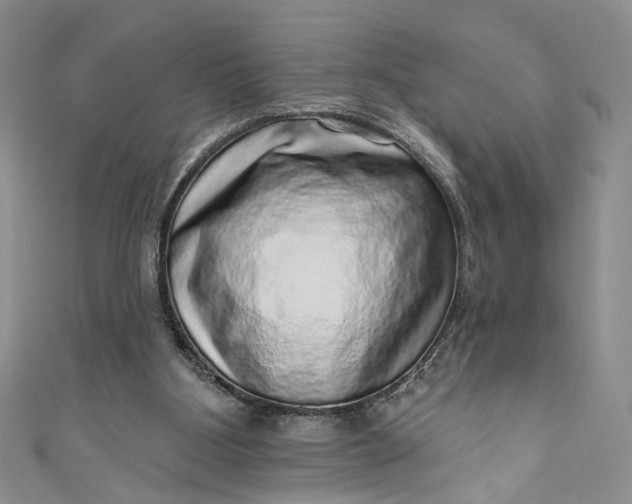 X0000110880107200907021505