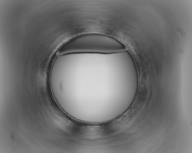 X0000110880108200907021505