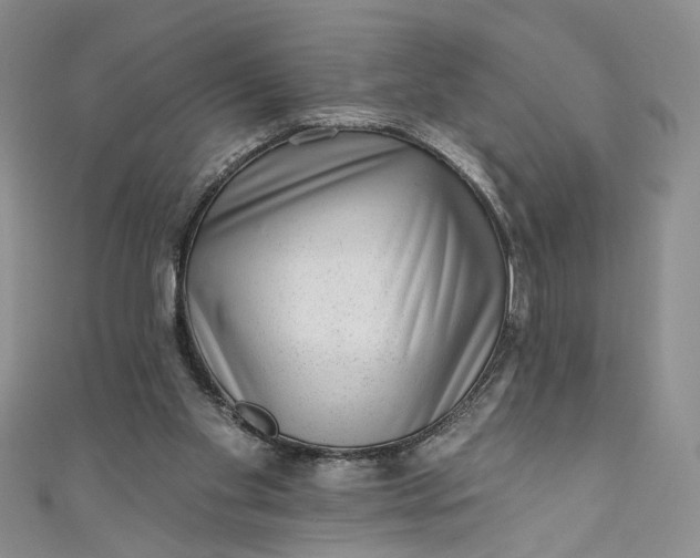 X0000110880109200907021505