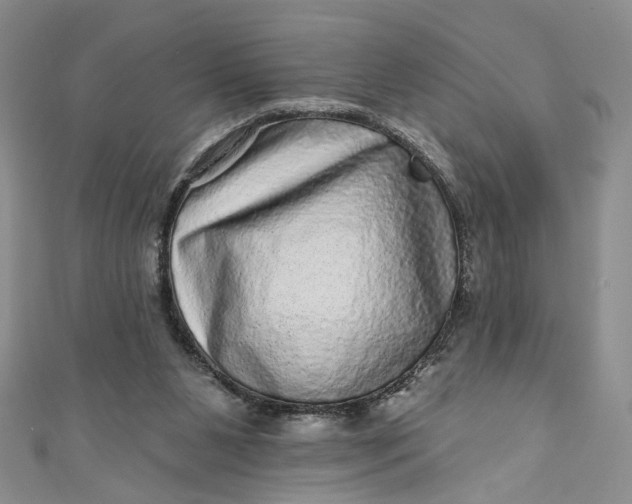 X0000110880111200907021505