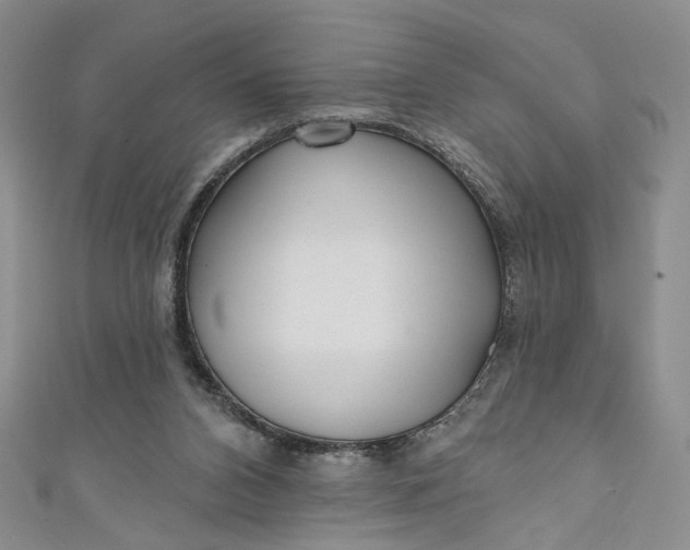 X0000110880112200907021505