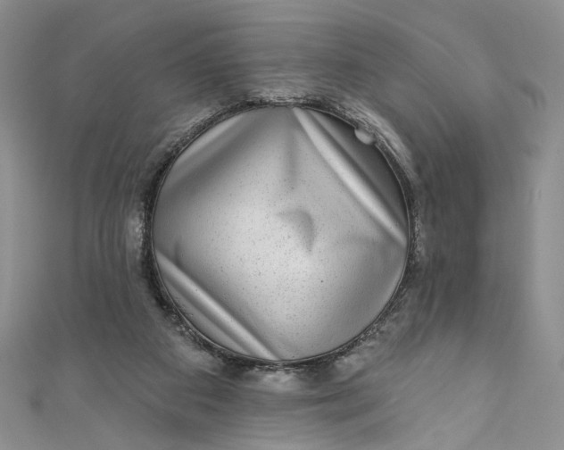 X0000110880113200907021505