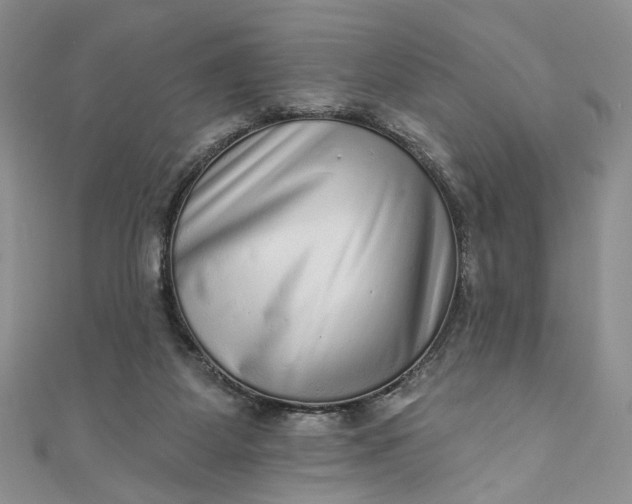 X0000110880115200907021505