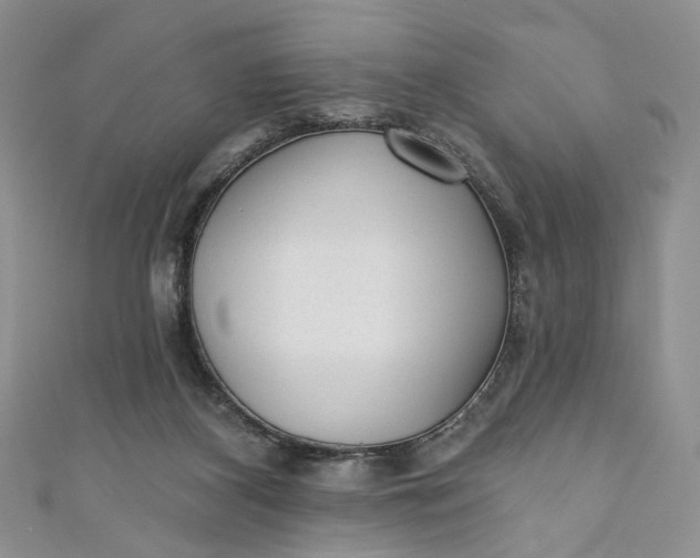 X0000110880116200907021505