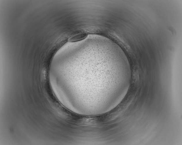 X0000110880117200907021505