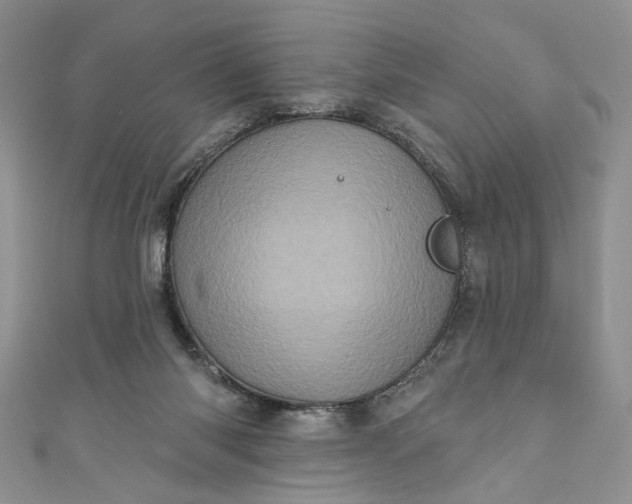 X0000110880118200907021505
