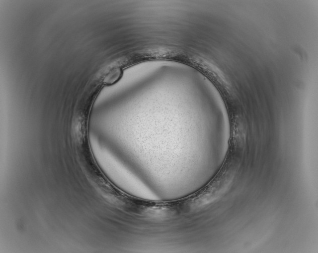 X0000110880119200907021505