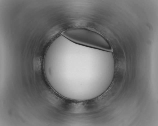 X0000110880120200907021505