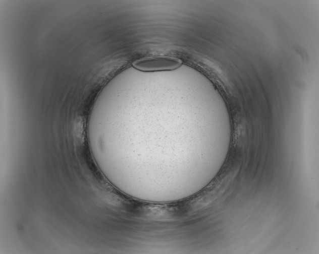 X0000110880121200907021505