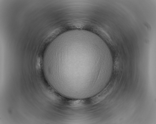 X0000110880122200907021505