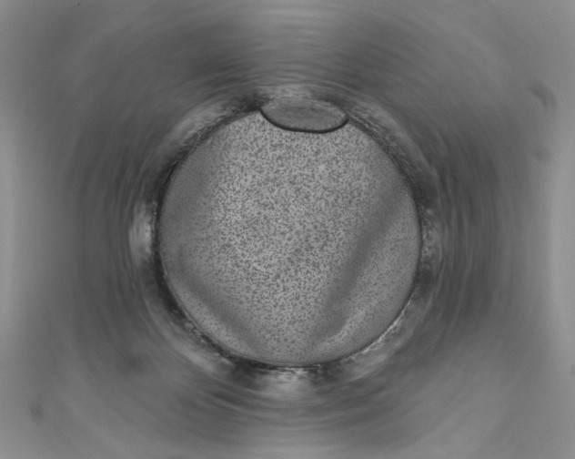 X0000110880124200907021505