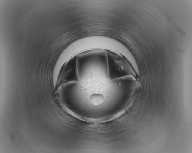 X0000110880125200907021505