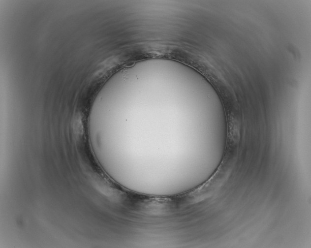 X0000110880128200907021505