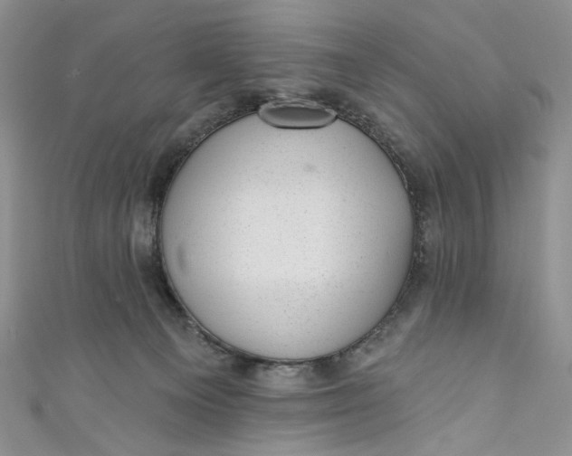 X0000110880129200907021505