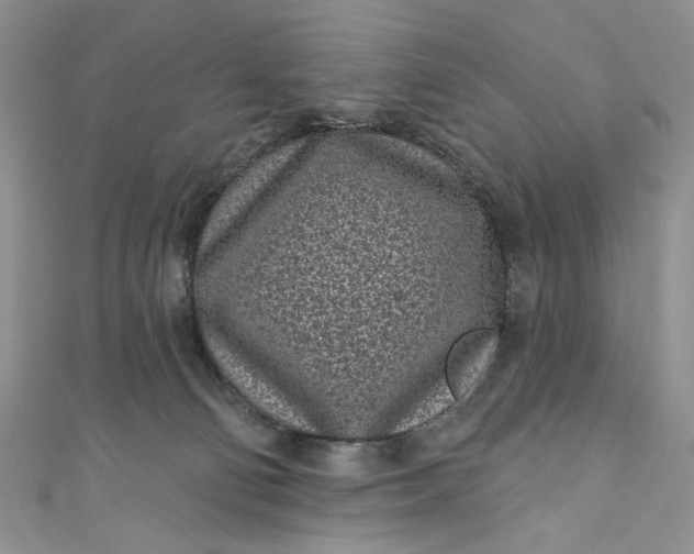 X0000110880130200907021505