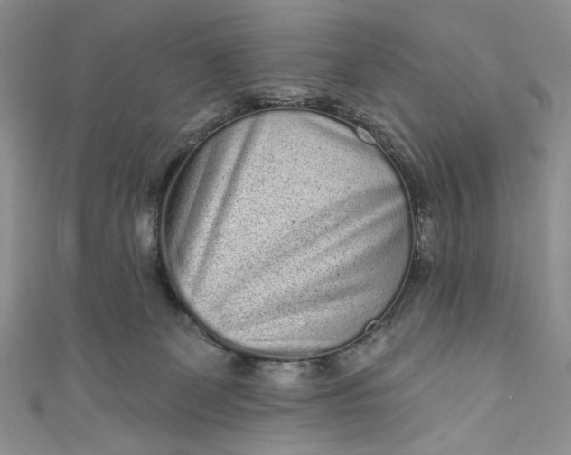 X0000110880131200907021505