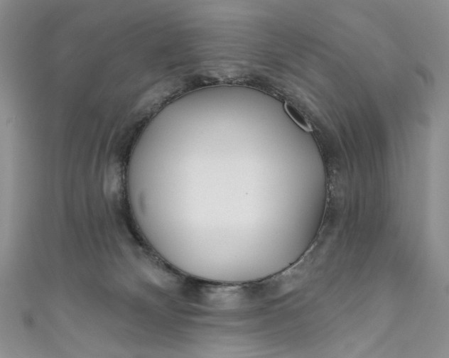 X0000110880132200907021505