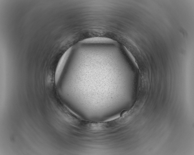 X0000110880134200907021505