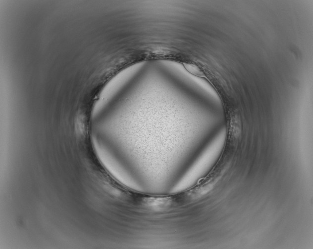 X0000110880135200907021505